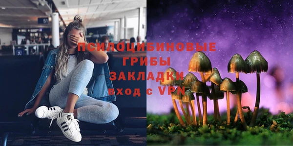 тгк Арсеньев